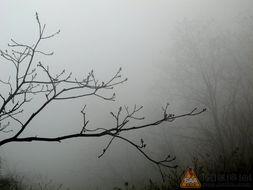 欧美朦胧美景视频