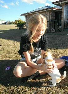 欧美另内吹潮视频,揭秘时尚界的叛逆之声