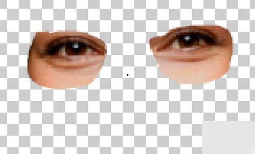 欧美眼镜视频教程,从基础到高级的工艺解析