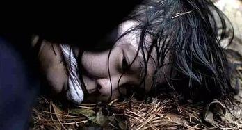 真实欧美杀人视频,欧美真实杀人视频揭秘