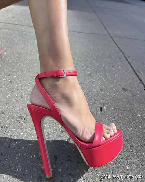 欧美高跟视频网站