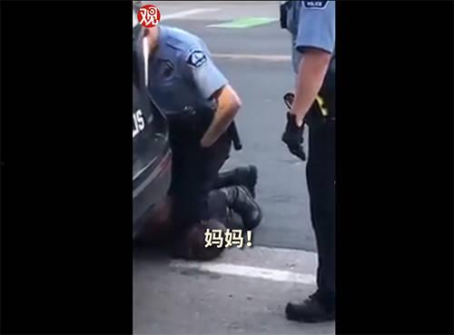 欧美人跪着干活视频,揭示现代职场的不为人知一面