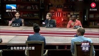 刘宽新欧美视频,探索东西方文化交融的视觉盛宴