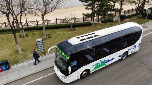 欧美小型巴士视频大全,视频大全中的出行利器