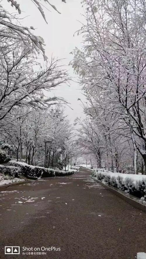 欧美漂亮的雪景视频,绝美雪景视频赏析