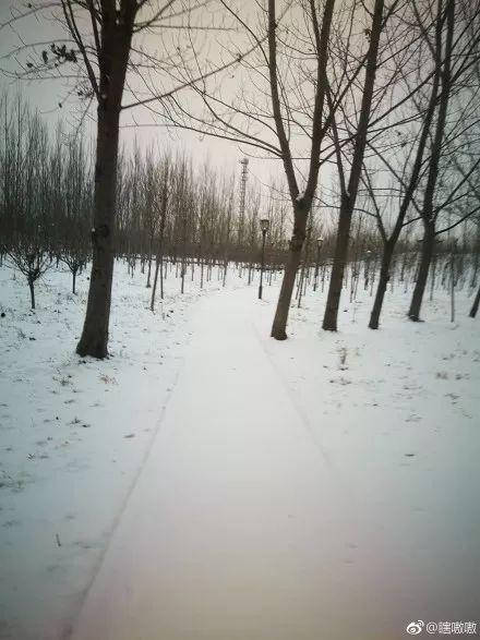 欧美漂亮的雪景视频,绝美雪景视频赏析