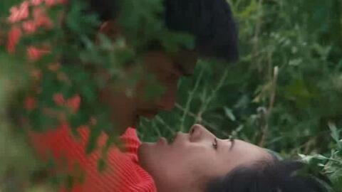 欧美纯爱解说大全视频,浪漫瞬间，心动瞬间，尽在其中