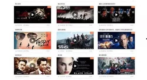 特级欧美免费大片视频app,特级欧美免费大片视频APP，带你畅享无界视听盛宴