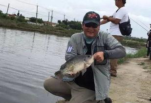 飞钓上鱼视频欧美,感受自然与技术的完美融合