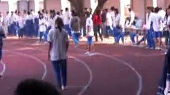 欧美女性赛跑视频,速度与激情的竞技盛宴