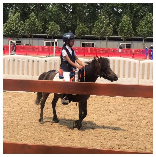 欧美女孩马术比赛视频